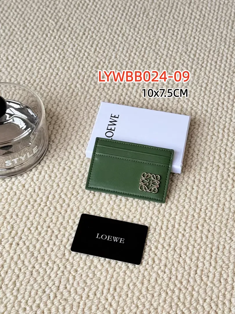 Loewe LYWBB024 תמונה 17