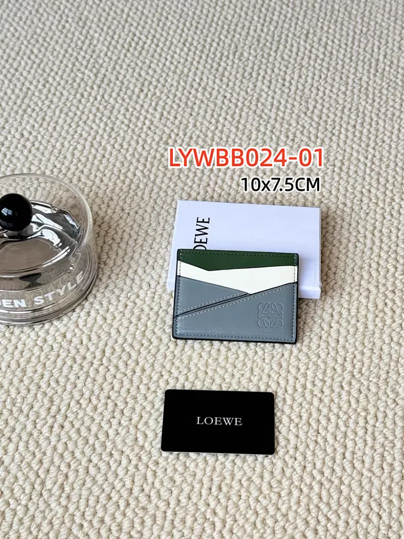 Loewe LYWBB024 תמונה 9