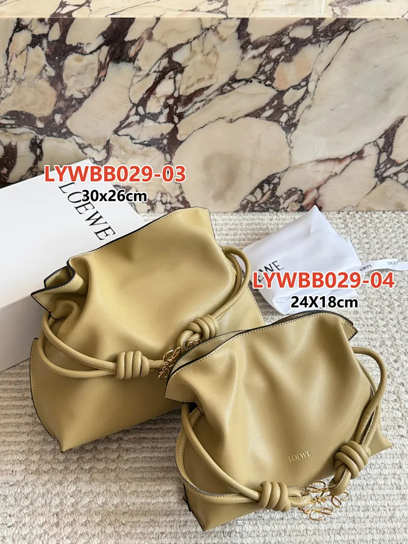 Loewe LYWBB029 תמונה 11