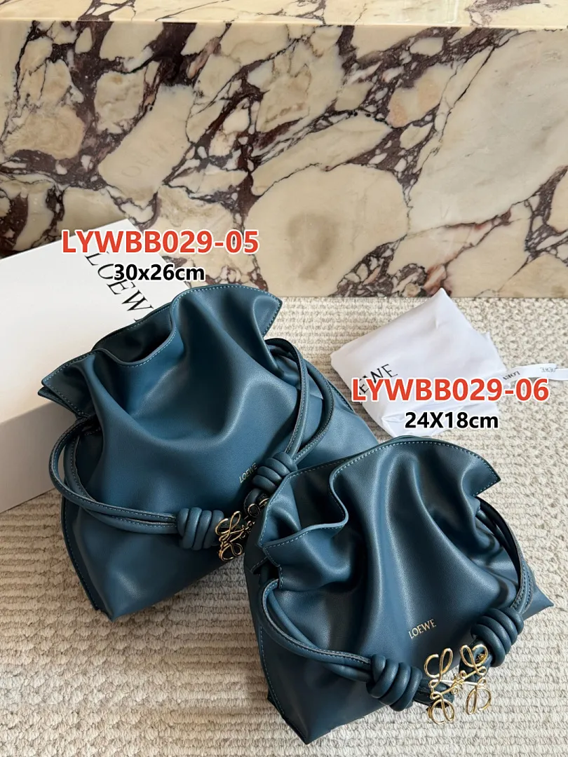 Loewe LYWBB029 תמונה 12