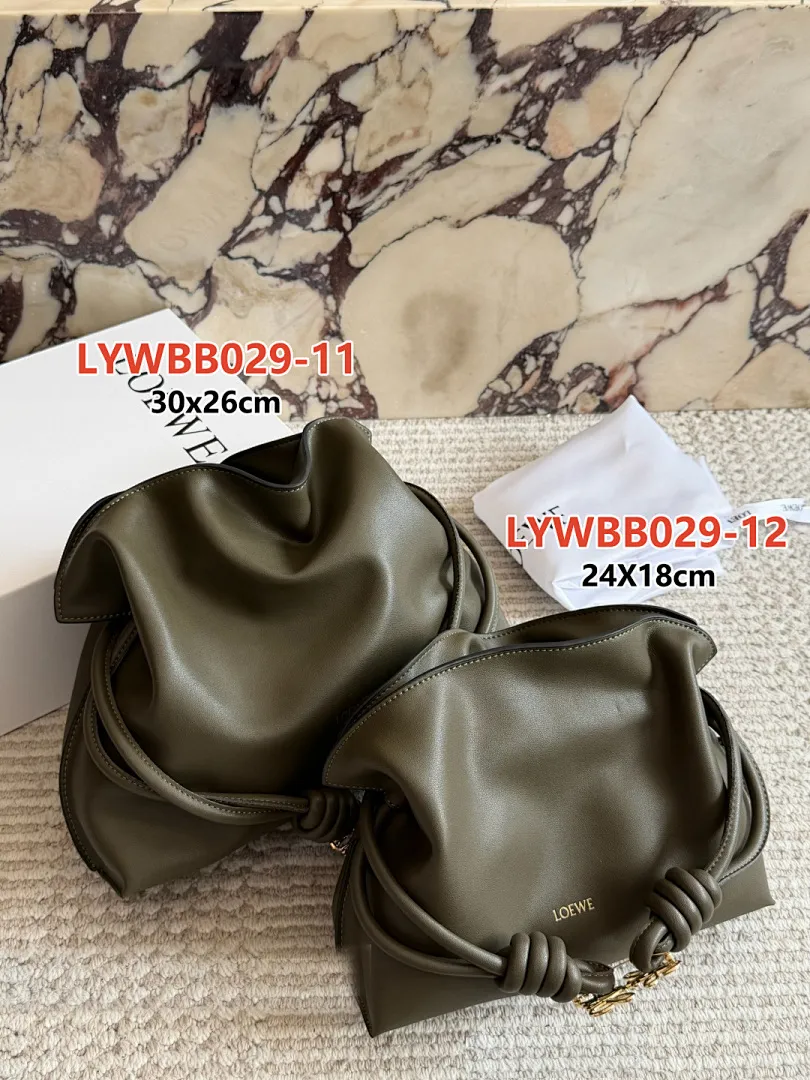 Loewe LYWBB029 תמונה 15