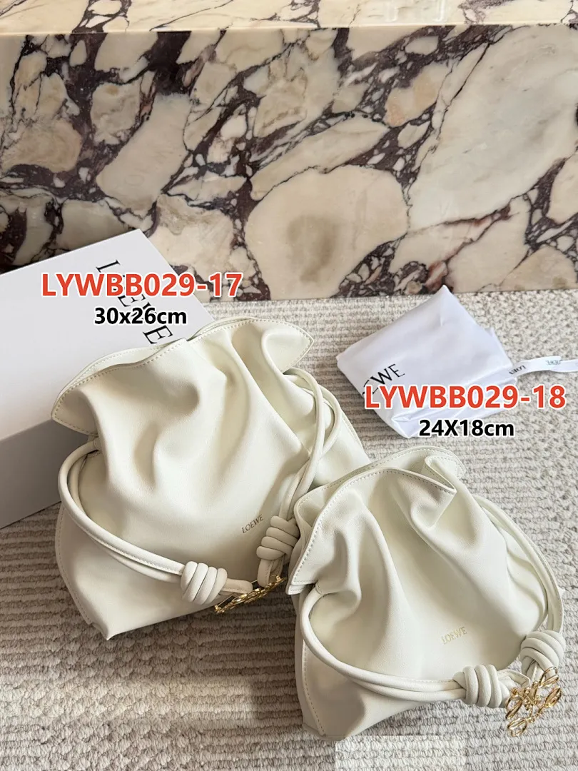 Loewe LYWBB029 תמונה 18