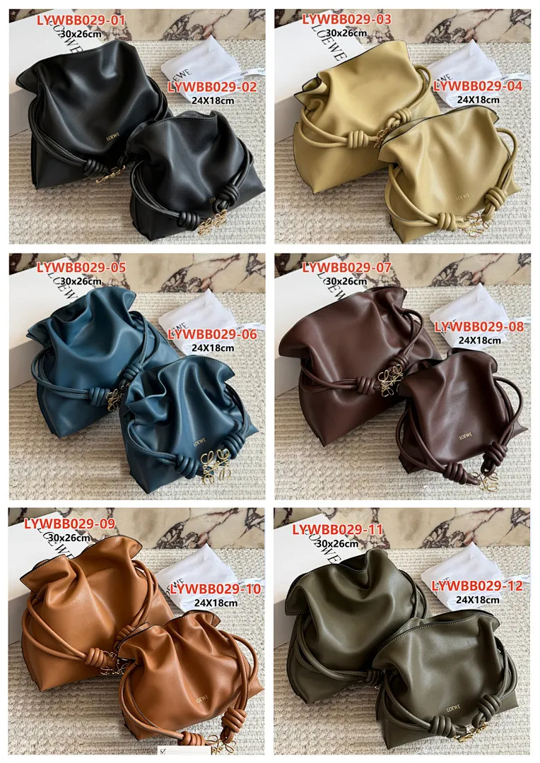Loewe LYWBB029 תמונה 22