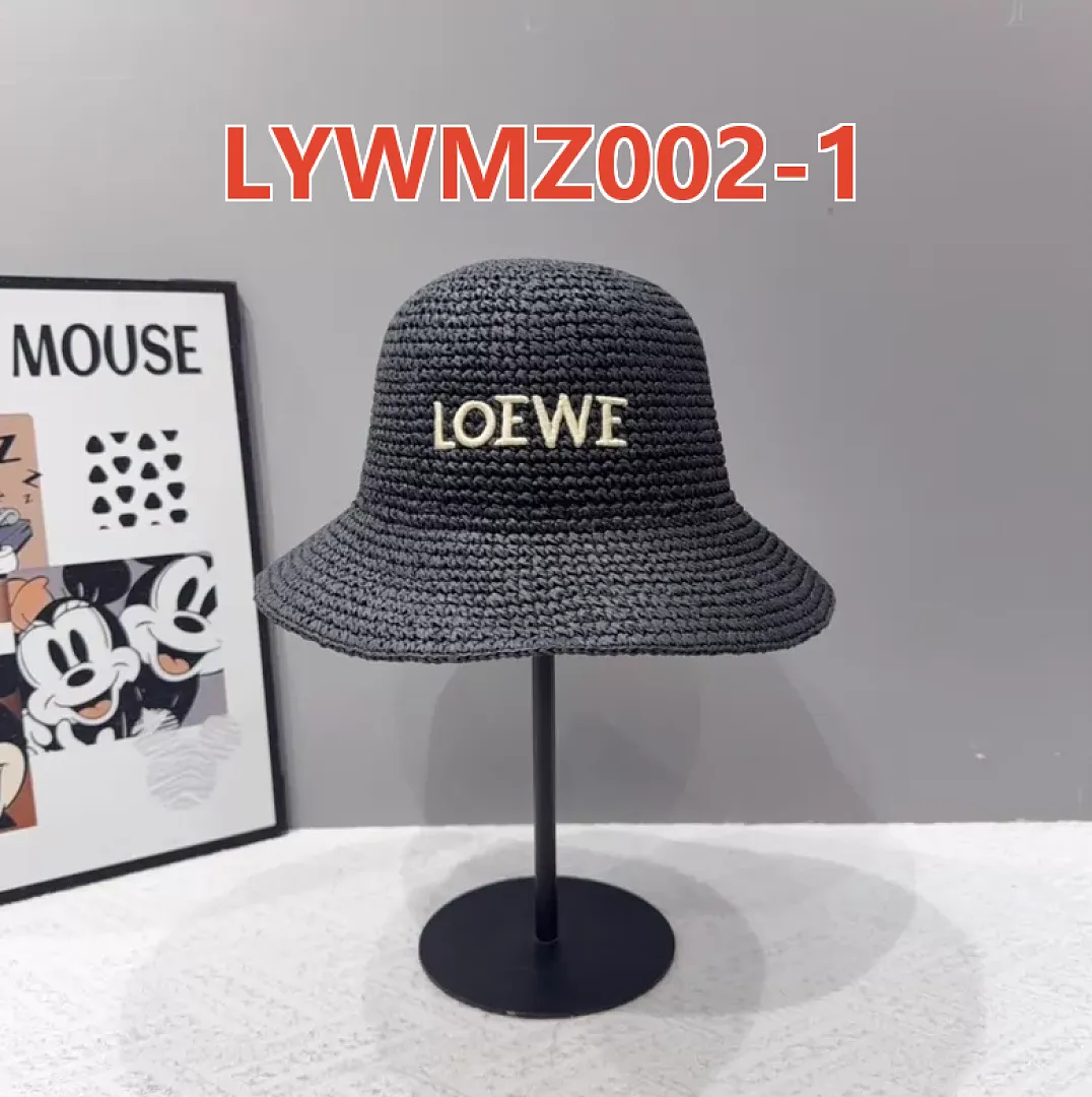 Loewe LYWMZ002 תמונה 11