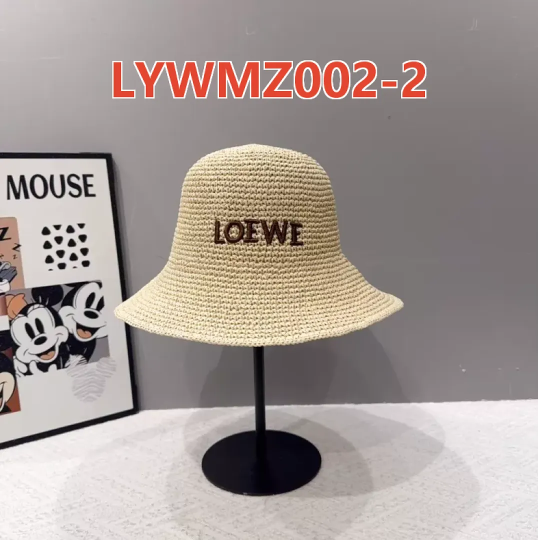 Loewe LYWMZ002 תמונה 12