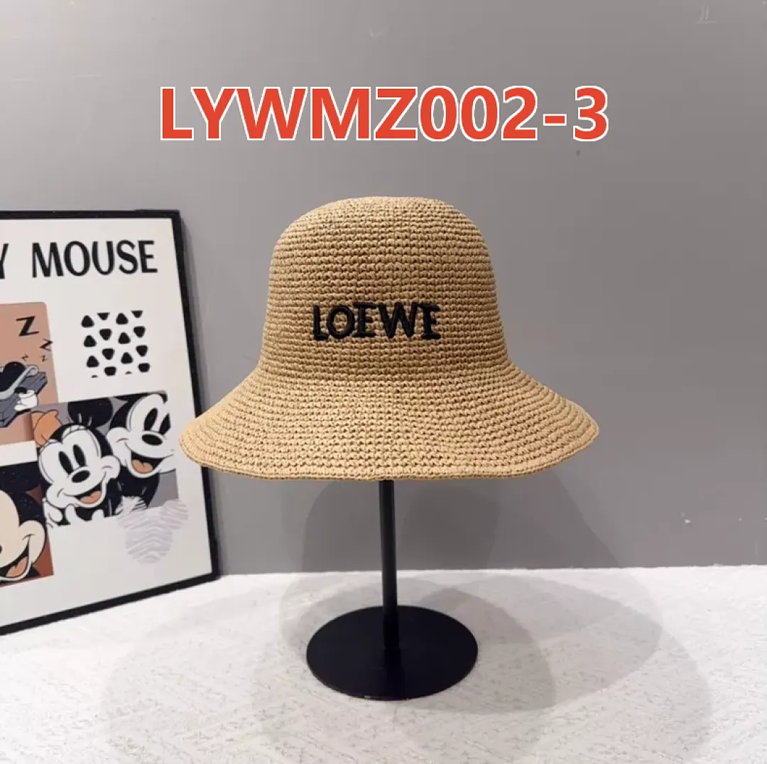 Loewe LYWMZ002 תמונה 13