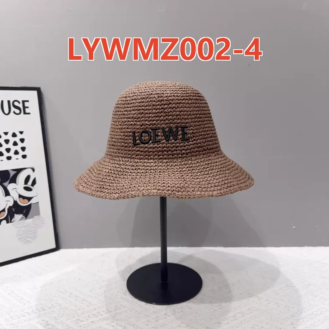 Loewe LYWMZ002 תמונה 14