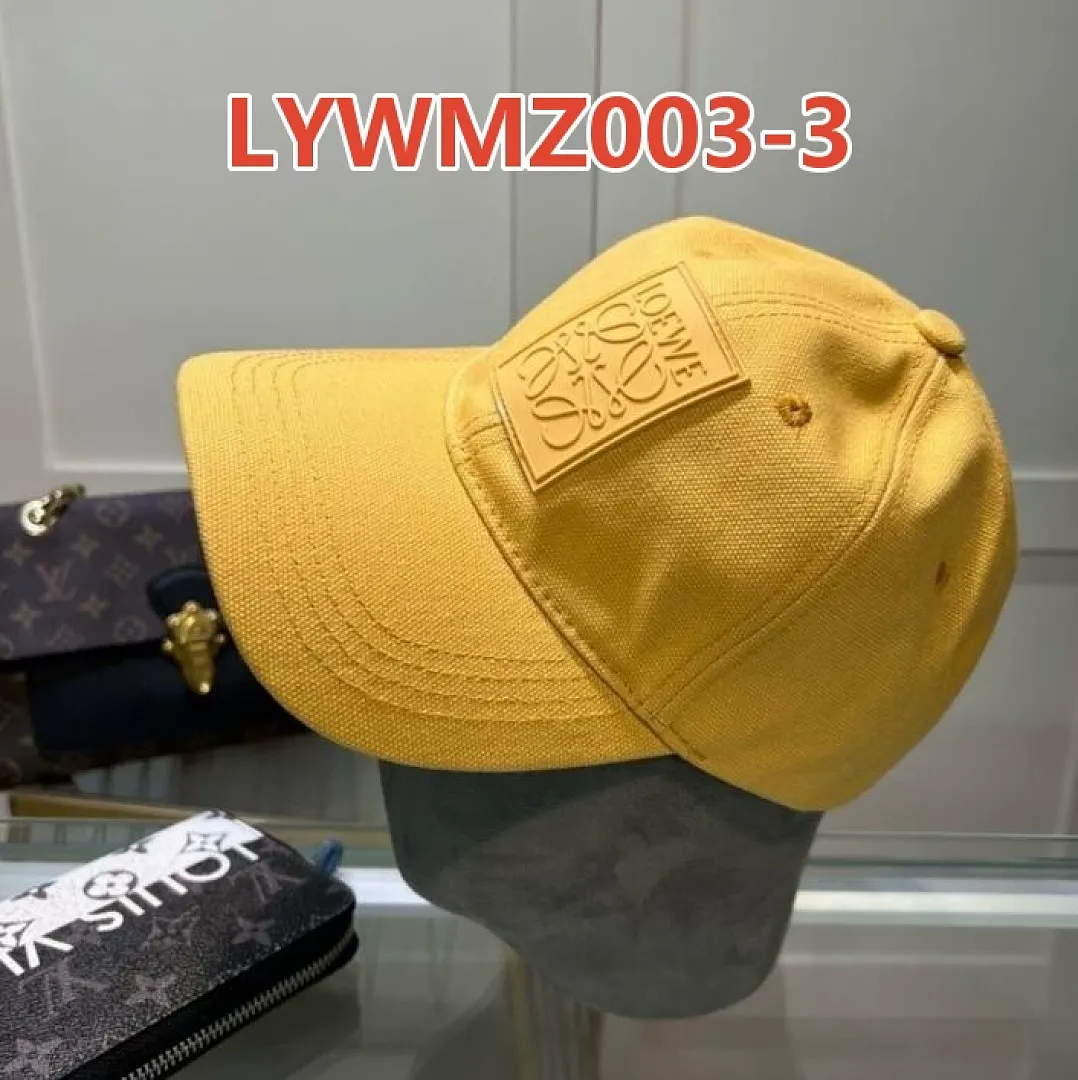 Loewe LYWMZ003 תמונה 9