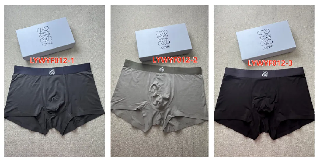 Loewe LYWYF012 תמונה 10
