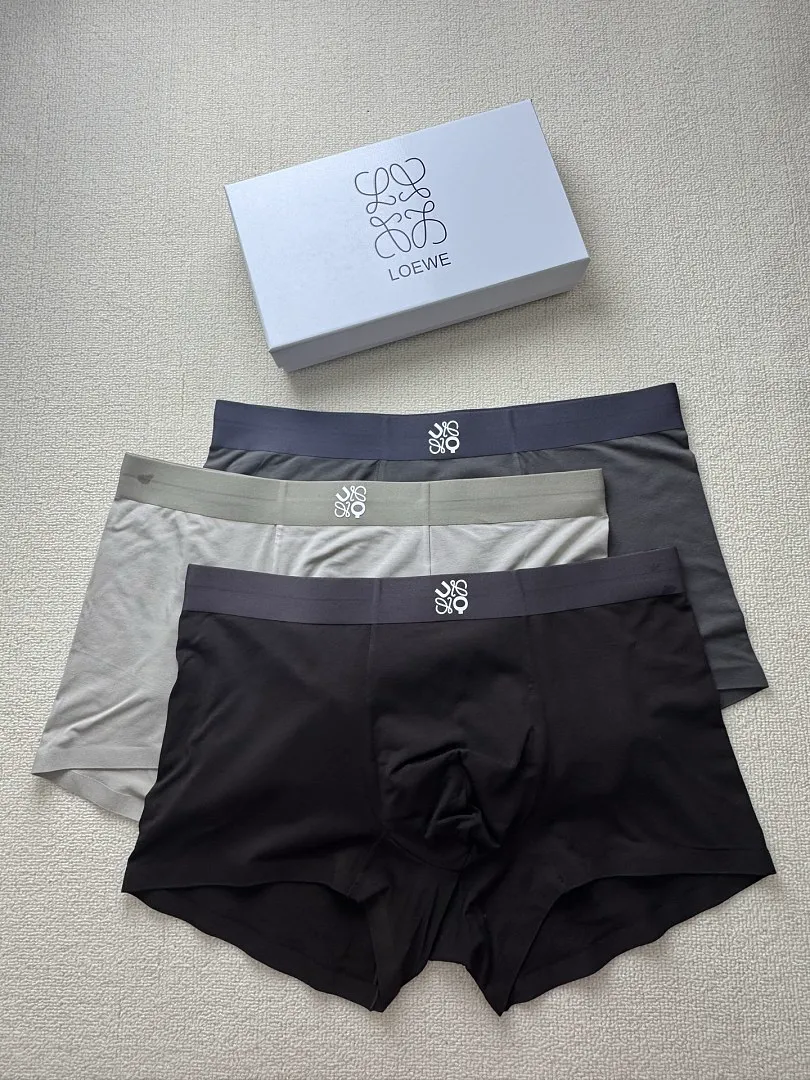 Loewe LYWYF012 תמונה 3