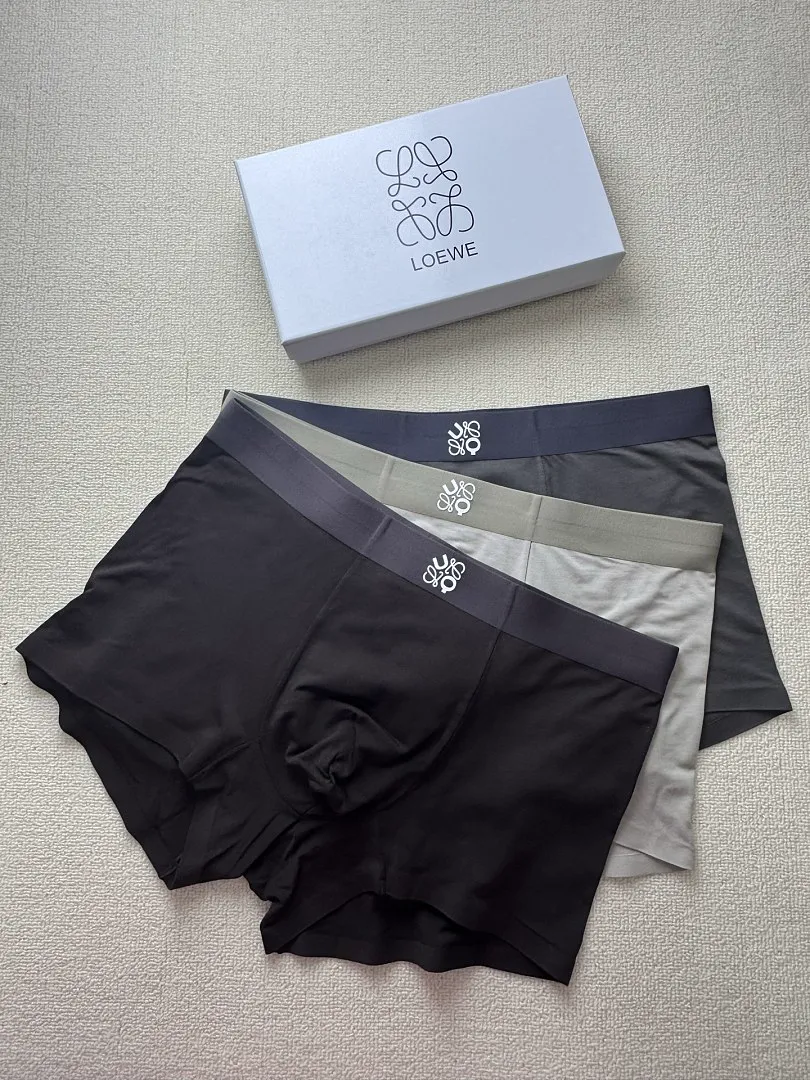 Loewe LYWYF012 תמונה 6