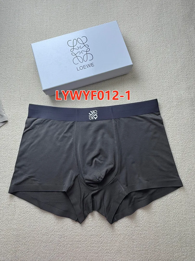 Loewe LYWYF012 תמונה 7