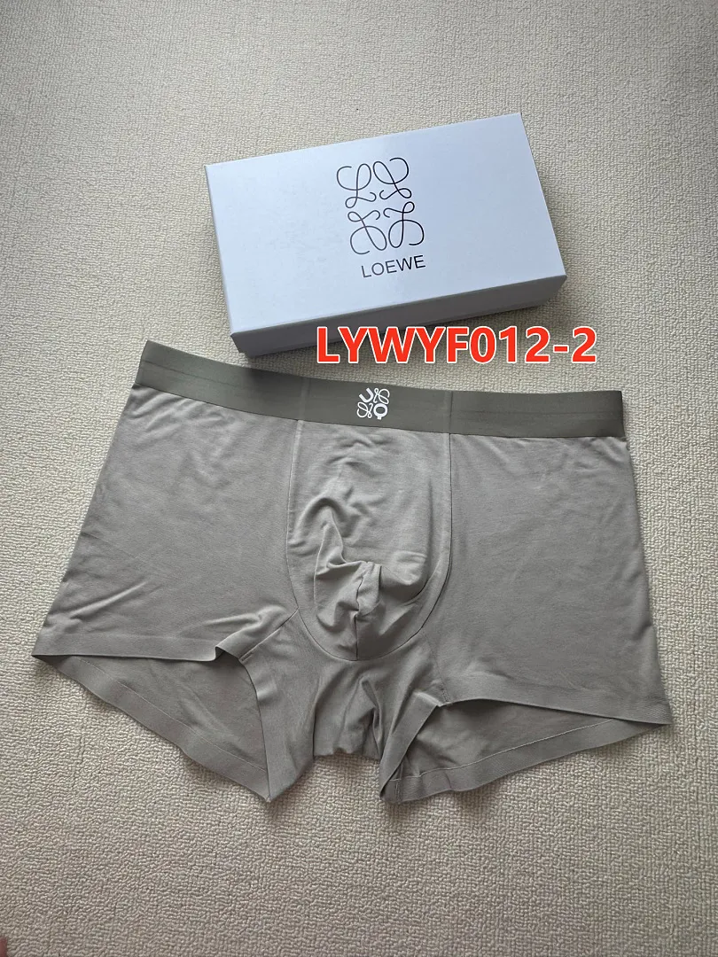 Loewe LYWYF012 תמונה 8