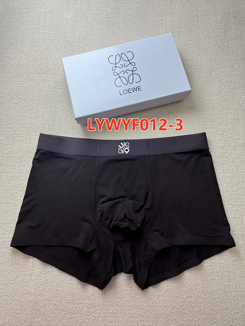 Loewe LYWYF012 תמונה 9