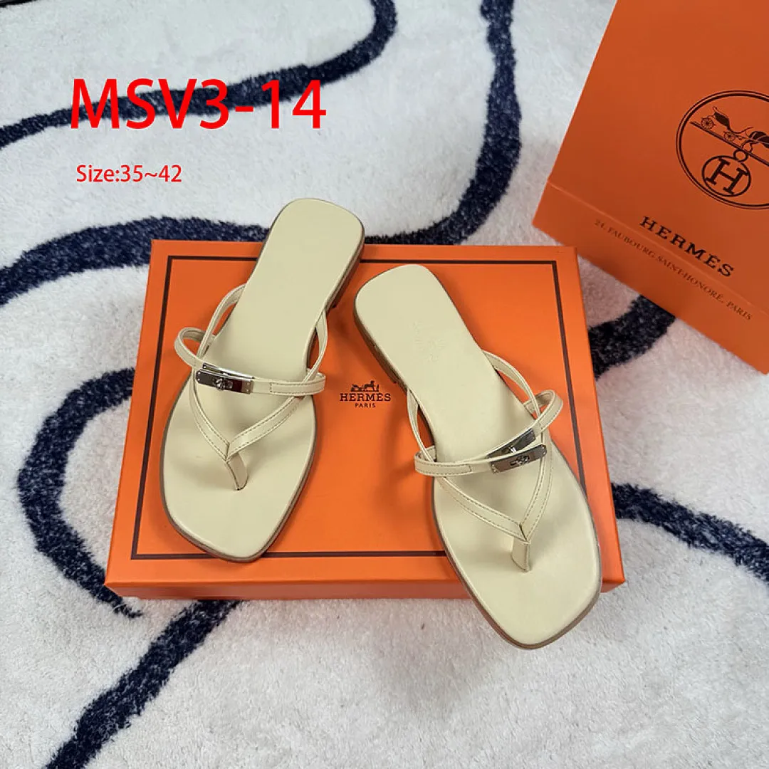 Hermes MSV3 תמונה 15