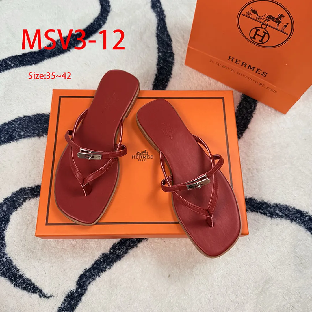 Hermes MSV3 תמונה 17