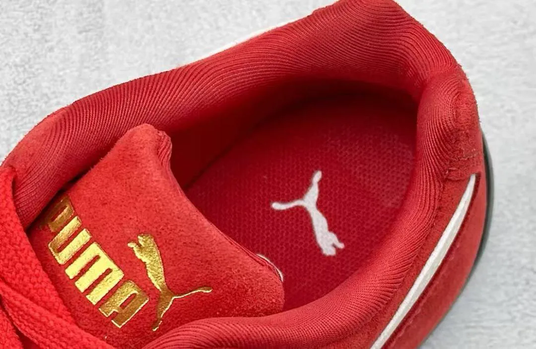 PUMA PMAXZ010 תמונה 7