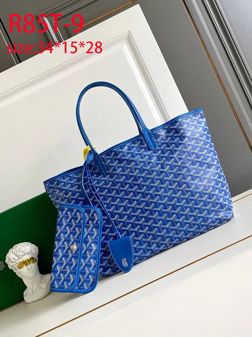 Goyard R85T תמונה 4