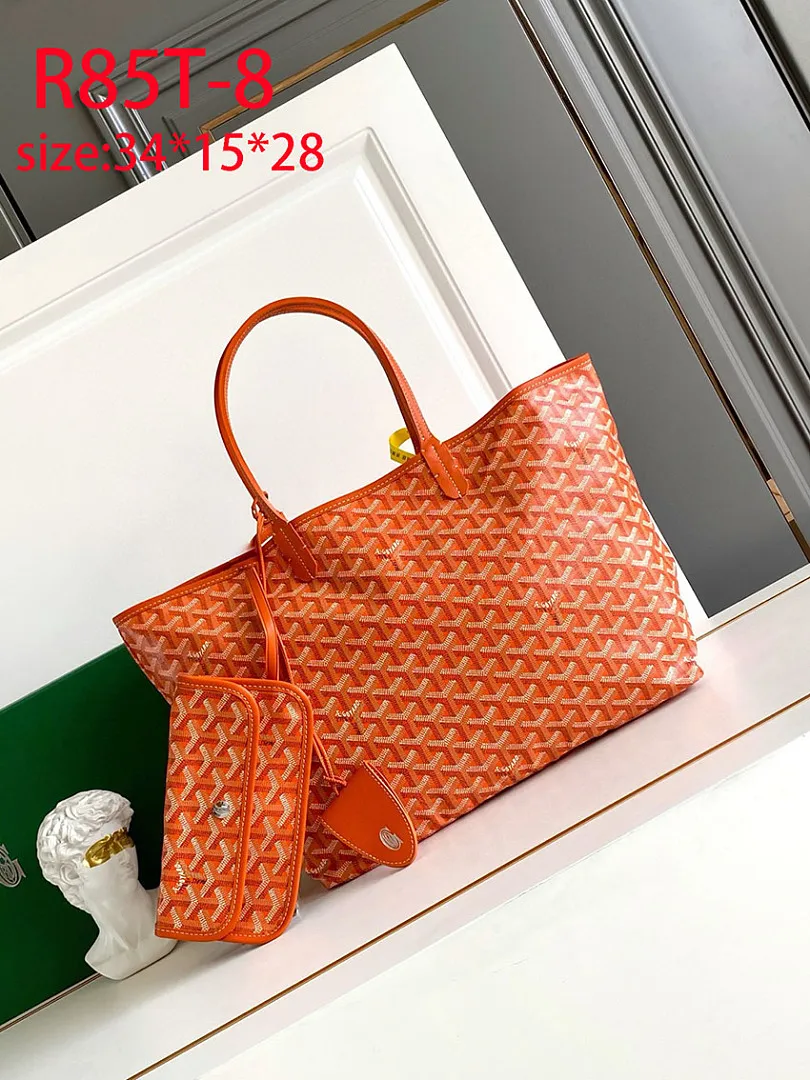 Goyard R85T תמונה 5