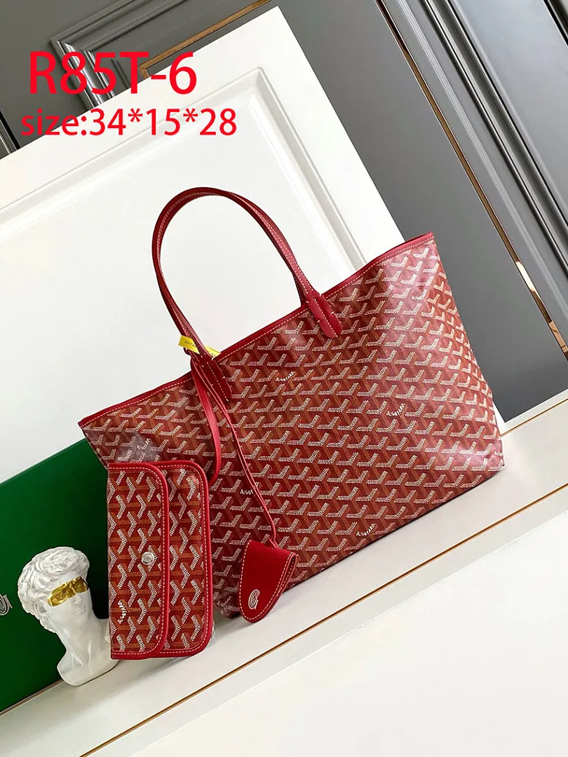 Goyard R85T תמונה 7