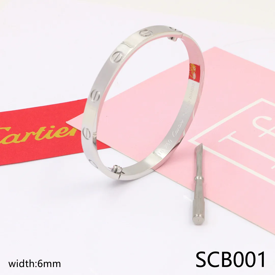 Cartier SCB1 תמונה 2