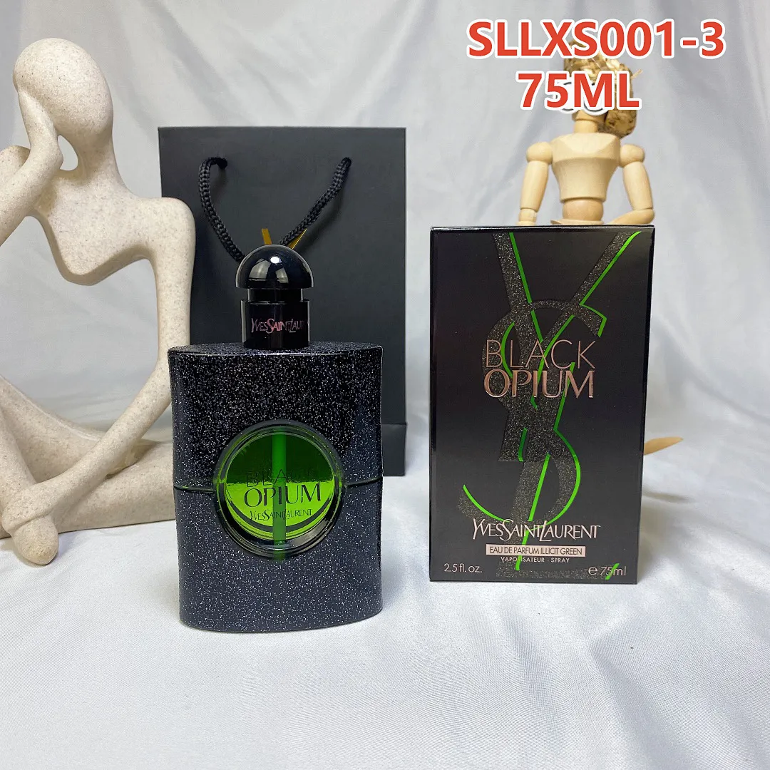 YSL SLLXS001 תמונה 9