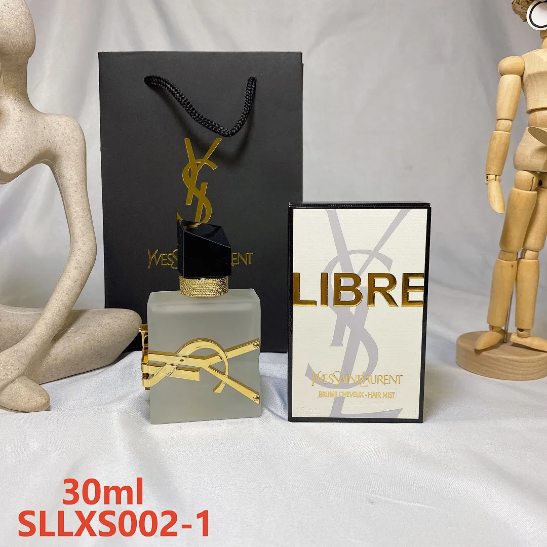 YSL SLLXS002 תמונה 8