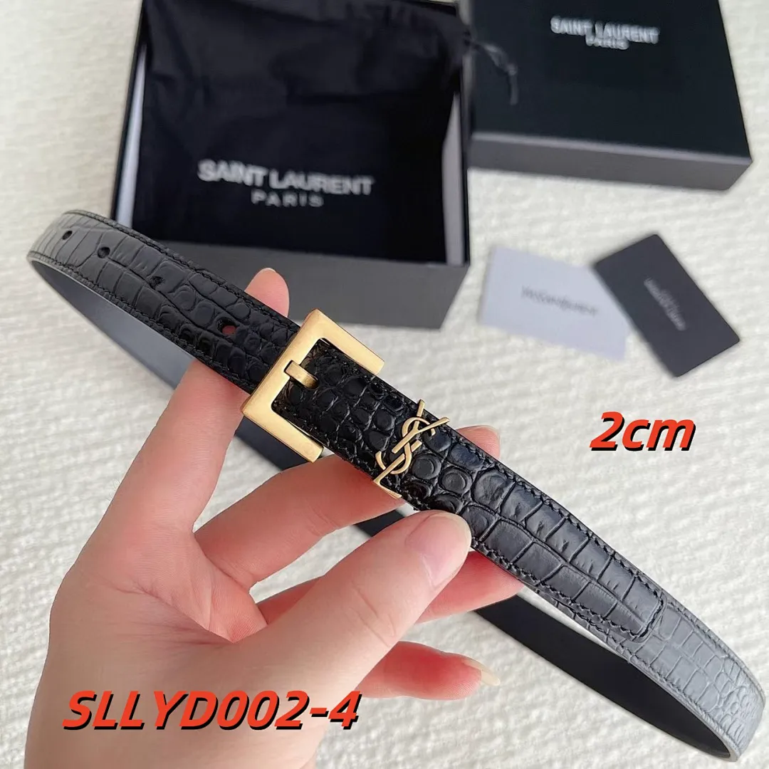 YSL SLLYD002 תמונה 5