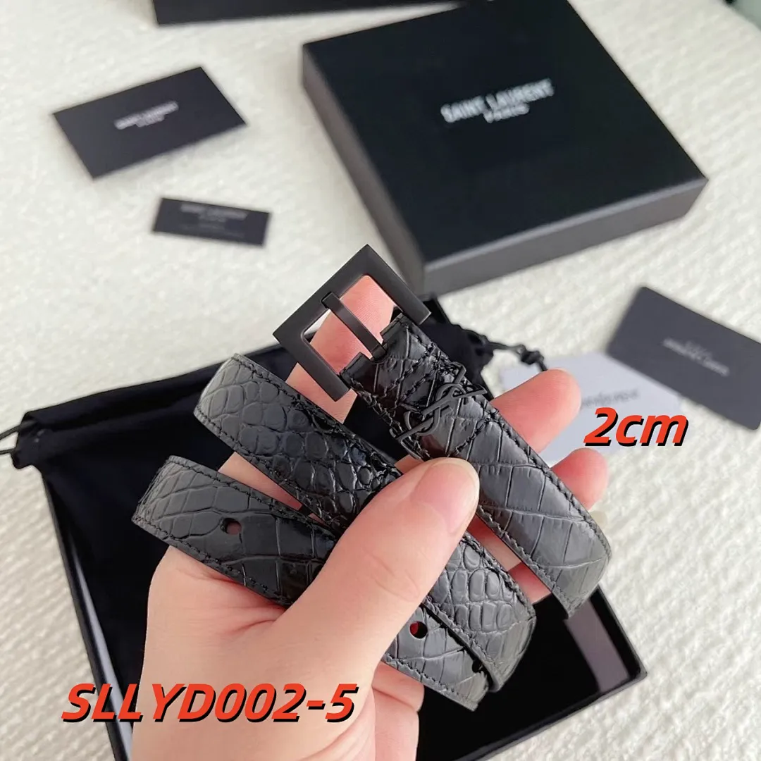 YSL SLLYD002 תמונה 6
