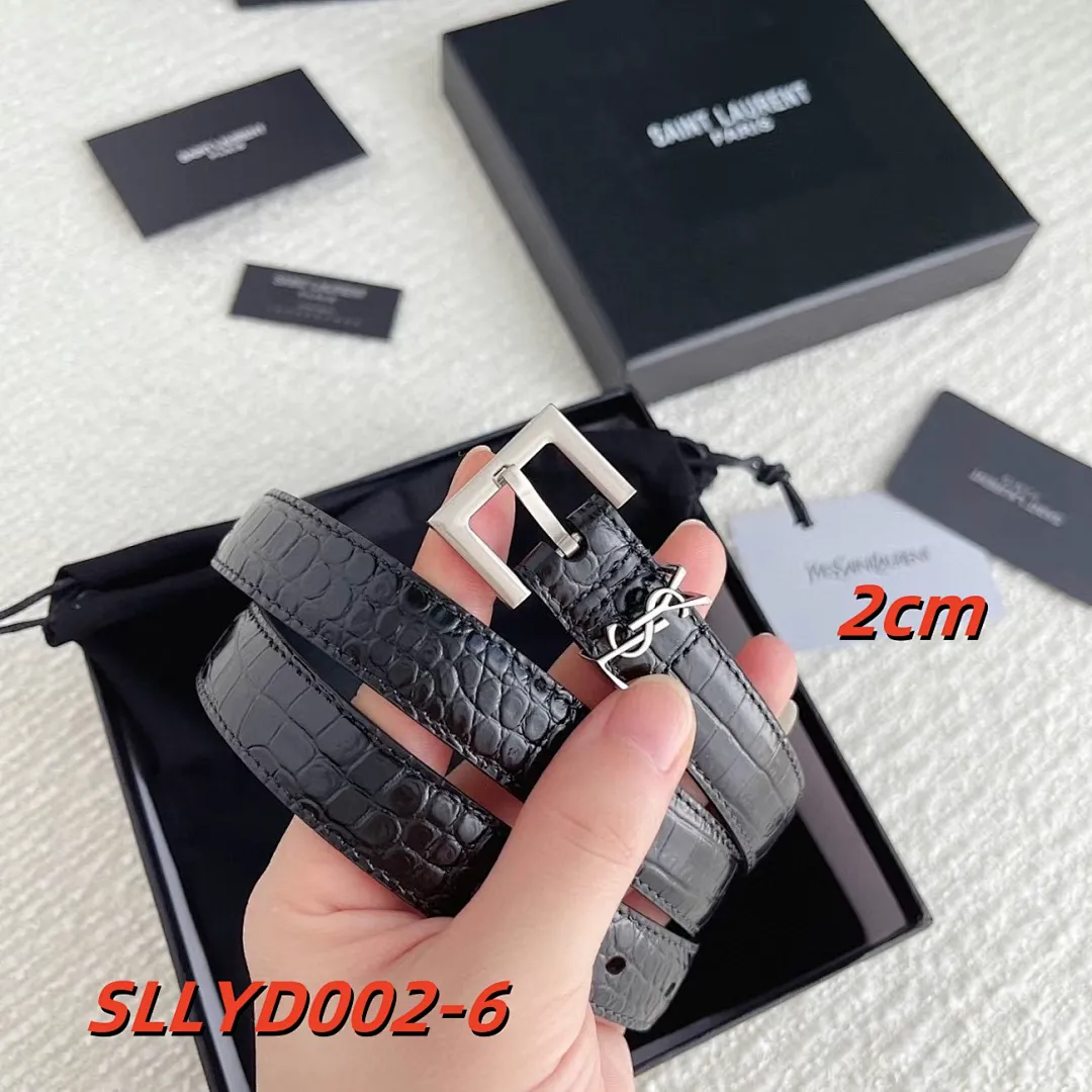 YSL SLLYD002 תמונה 7