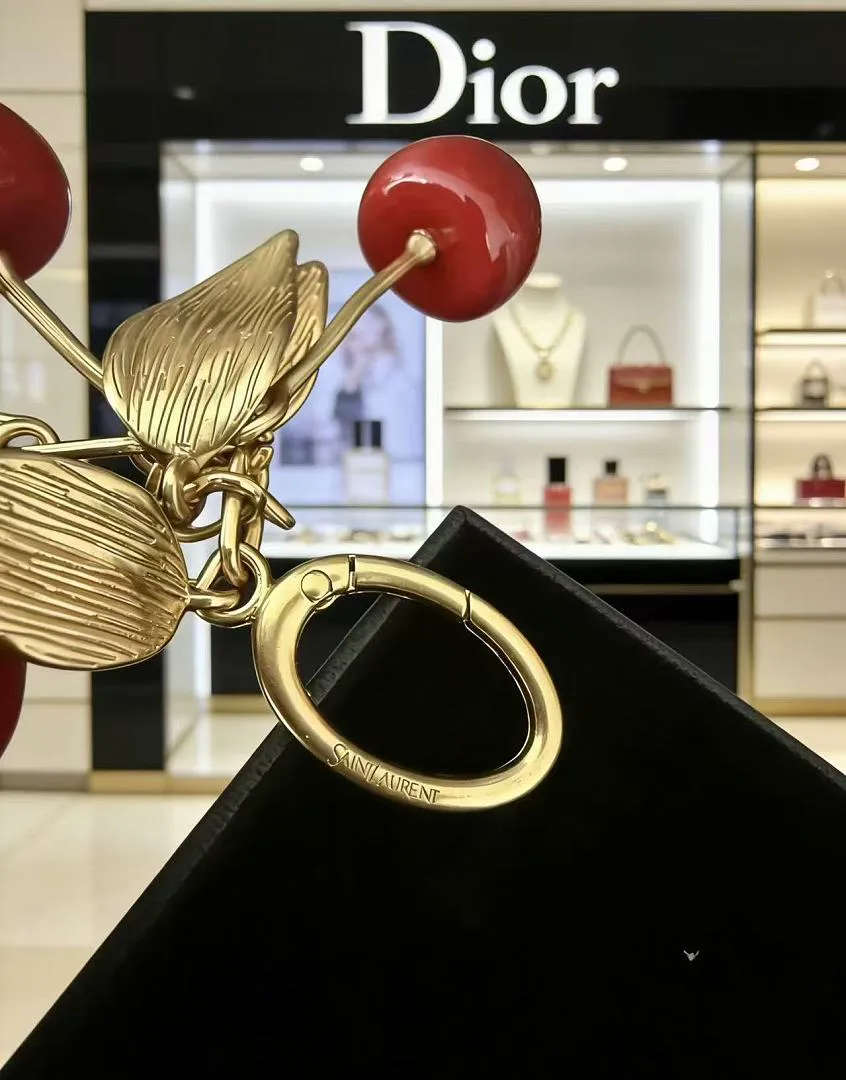 YSL SLLYSK001 תמונה 5