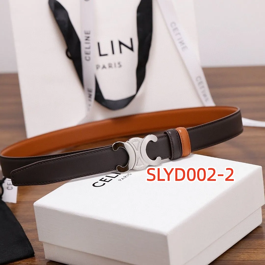 Celine SLYD002 תמונה 8
