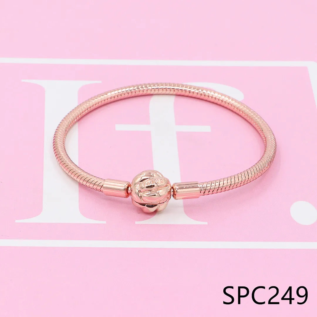 Pandora SPC21 תמונה 17