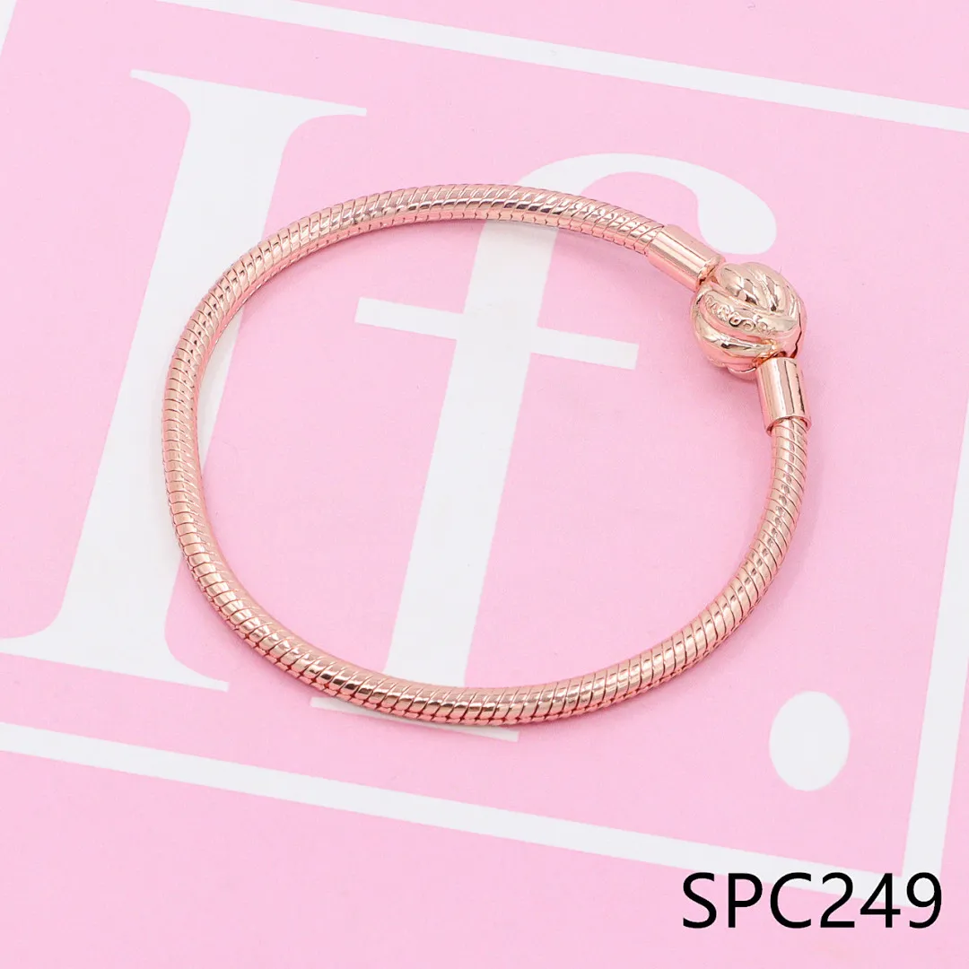 Pandora SPC21 תמונה 18