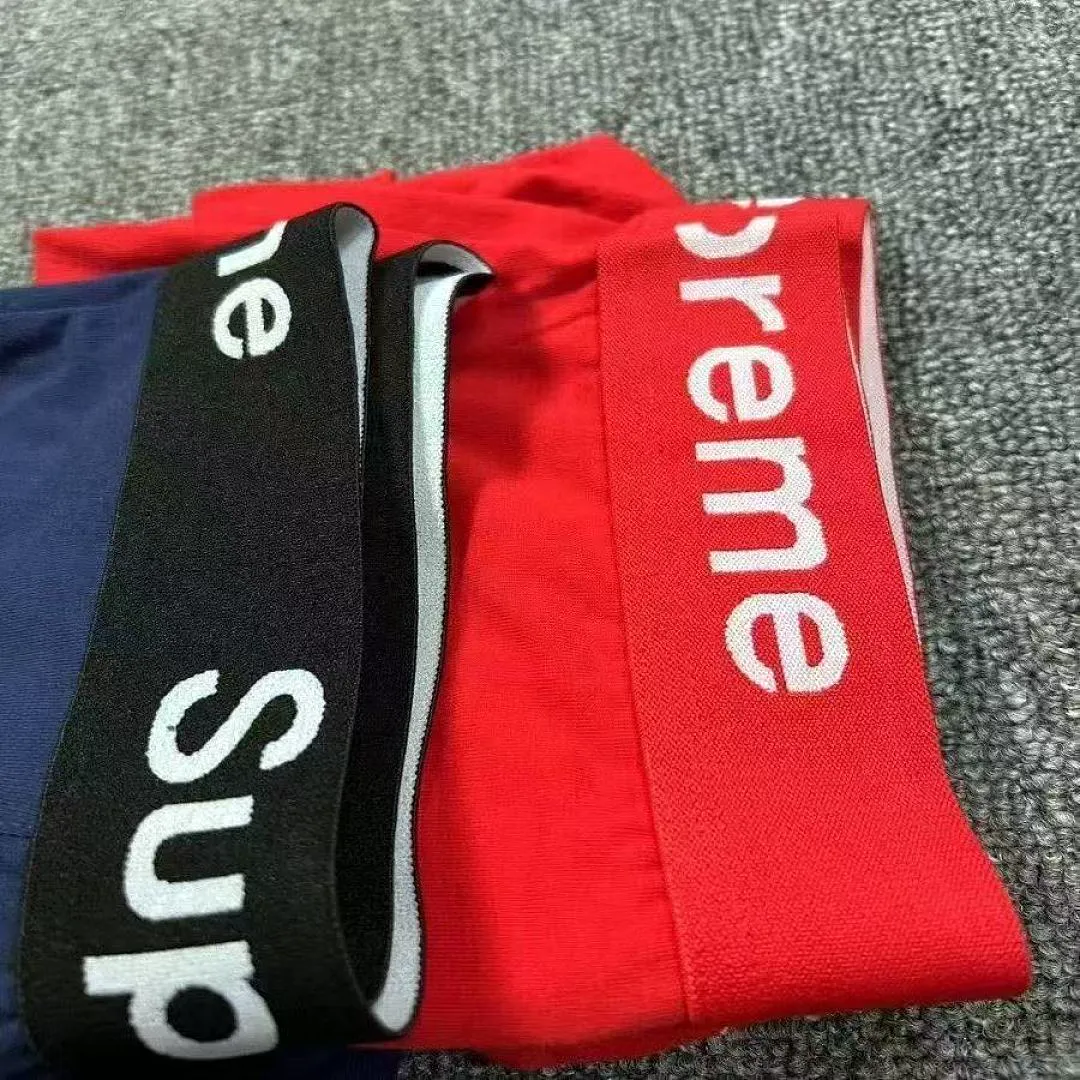 Supreme SPMYF003 תמונה 4