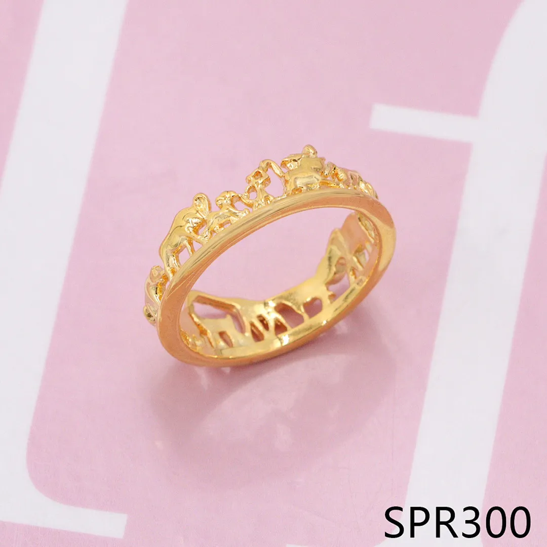 Pandora SPR25 תמונה 23