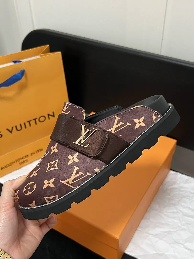 LV V1L תמונה 5