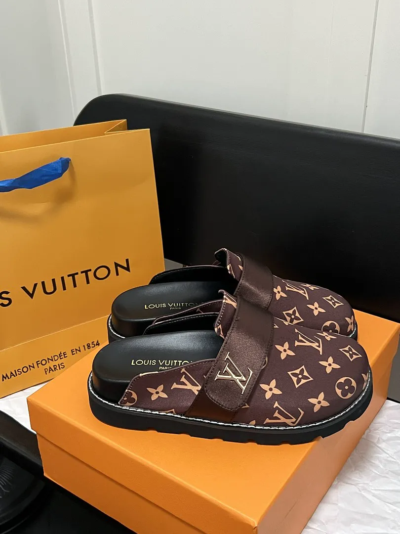 LV V1L תמונה 6