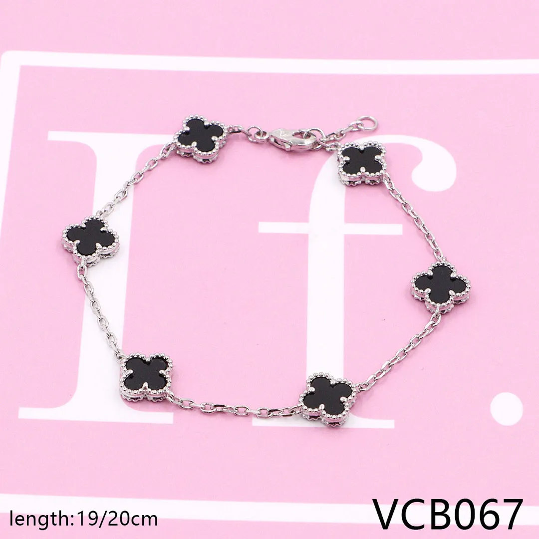 Van Cleef & Arpels VCB6 תמונה 15