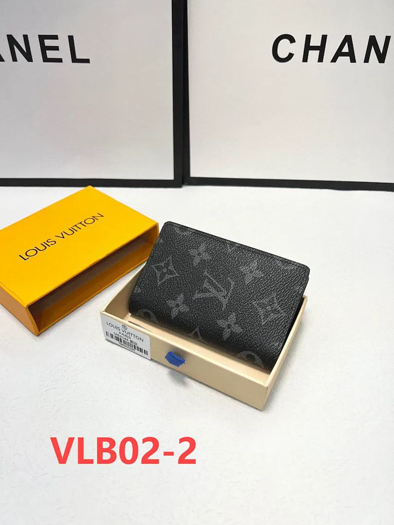 LV VLB02 תמונה 3