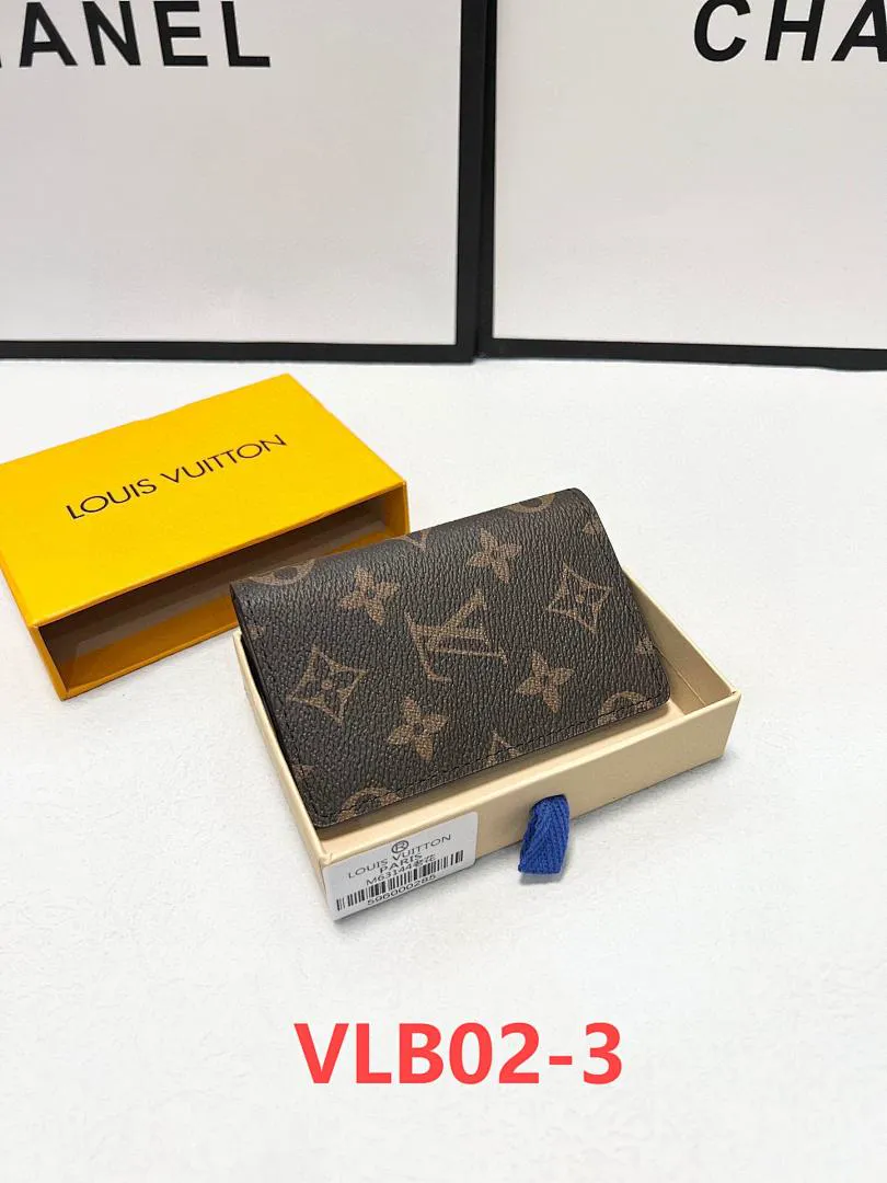 LV VLB02 תמונה 4