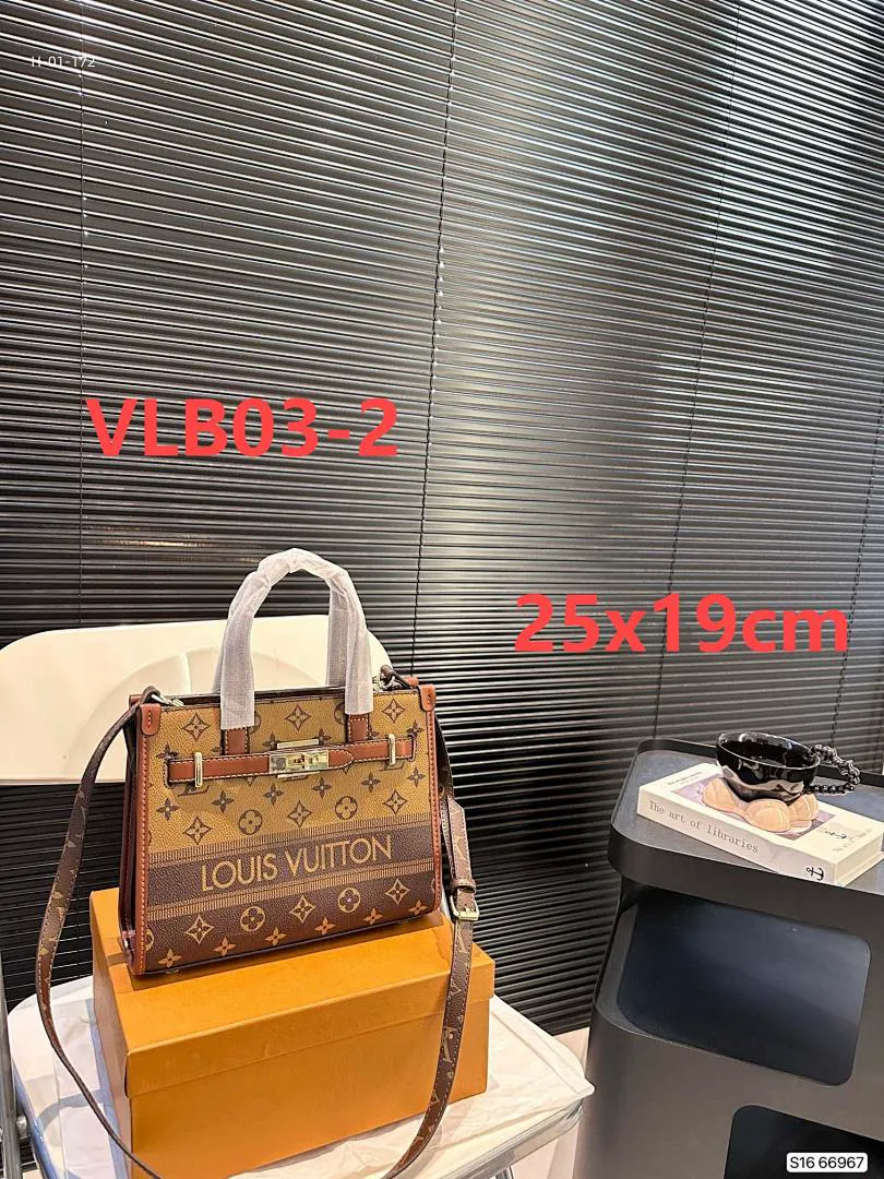LV VLB03 תמונה 3