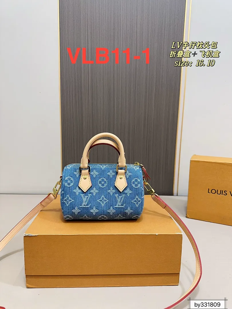 LV VLB11 תמונה 2