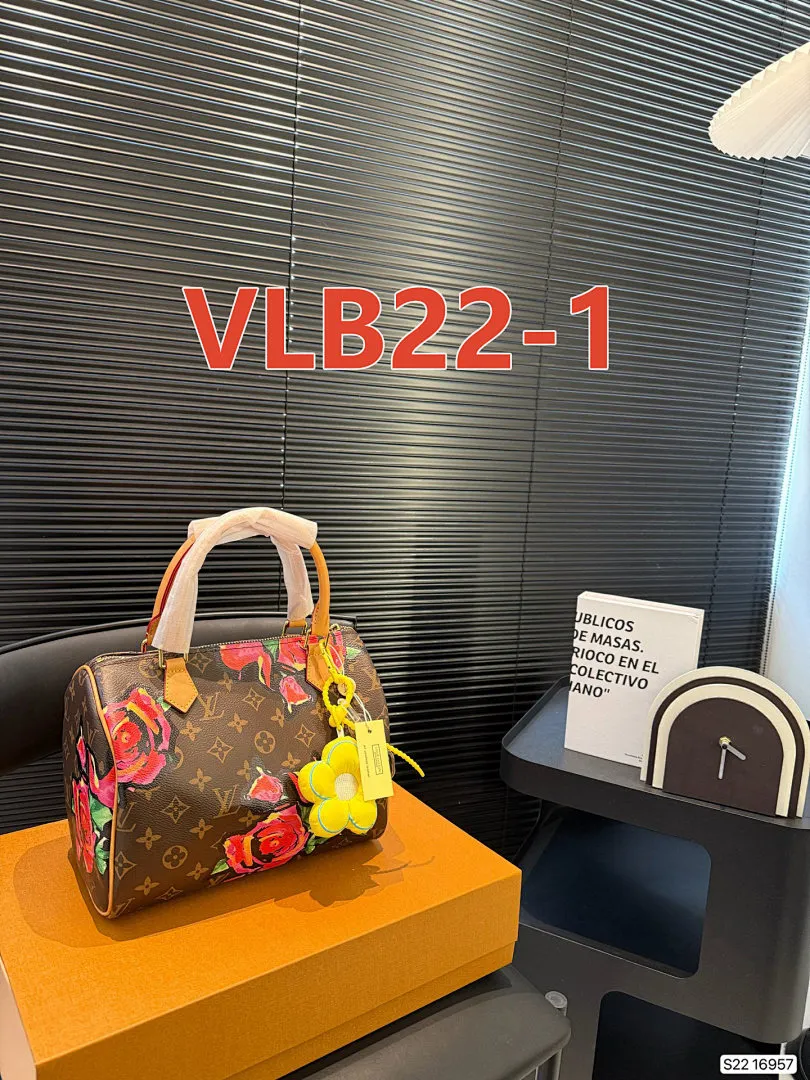 LV VLB22 תמונה 11