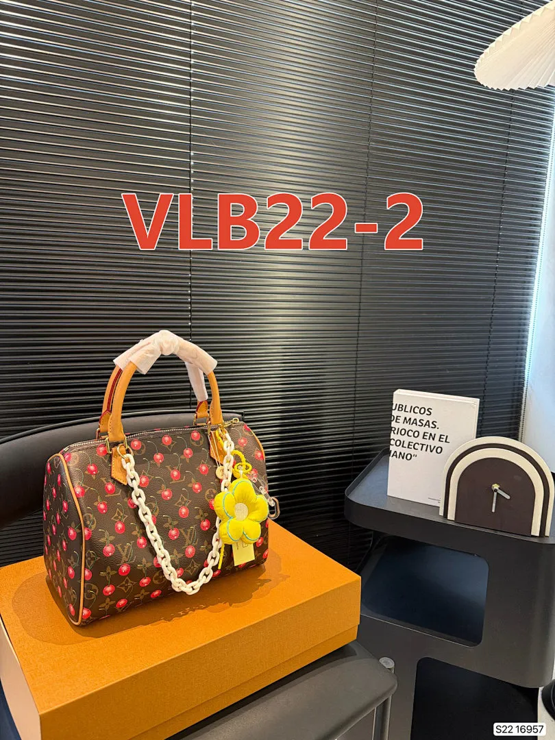 LV VLB22 תמונה 12