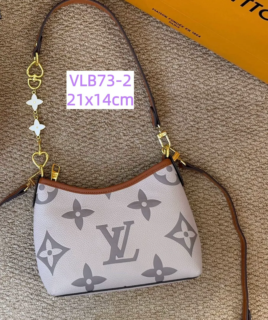 LV VLB73 תמונה 4