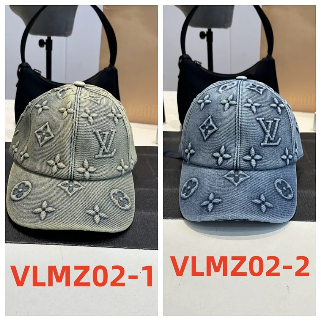 LV VLMZ02 תמונה 2