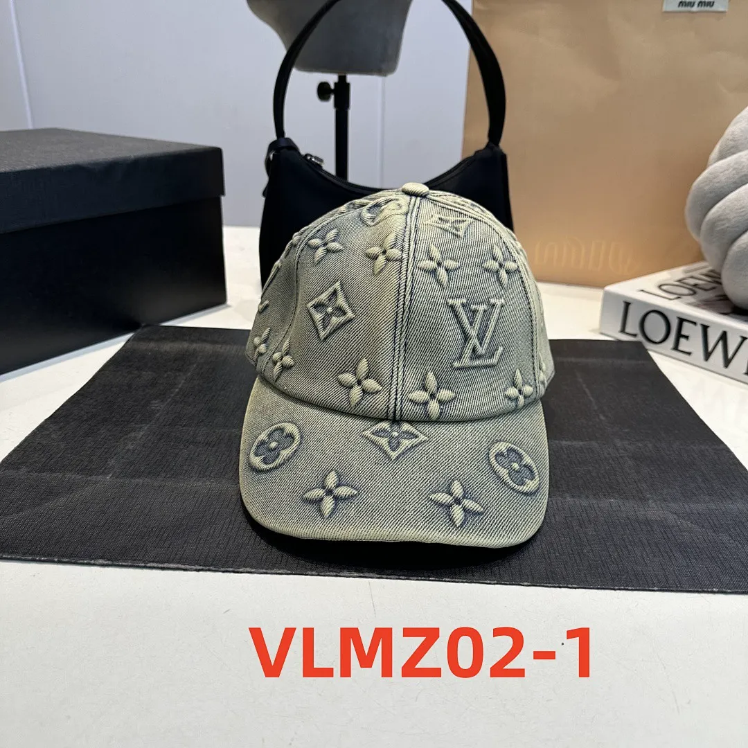 LV VLMZ02 תמונה 3