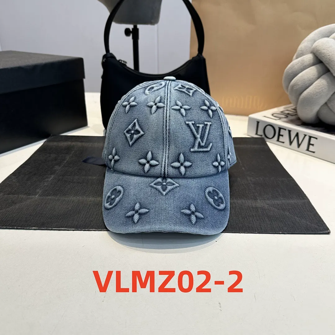 LV VLMZ02 תמונה 4