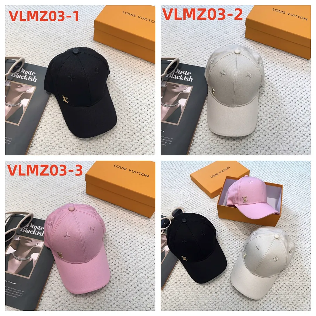 LV VLMZ03 תמונה 2